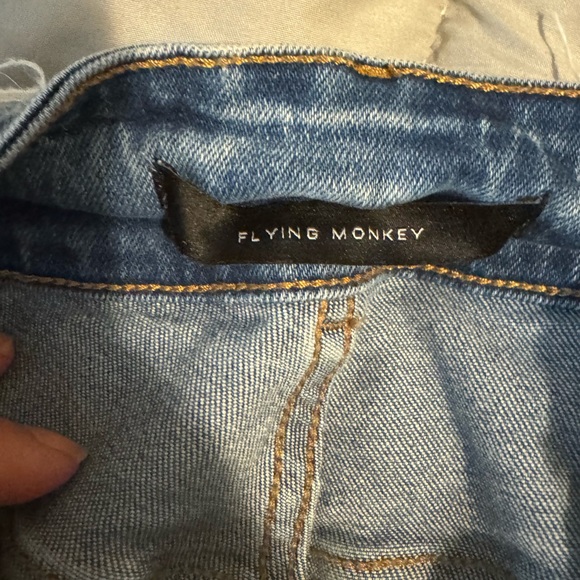 Flying Monkey - Picture 3 of 5